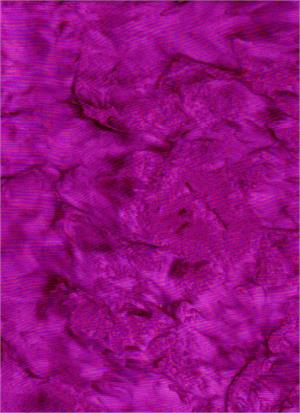 Fuschia Blender 44" batik by Batik Textiles, 4541B