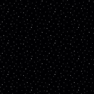 Black Dapple Dot 108" fabric by Riley Blake WB640